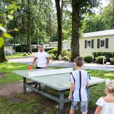 Chalet Luxurious With Dishwasher, In A Park, In The Middle Of De Veluwe Ede